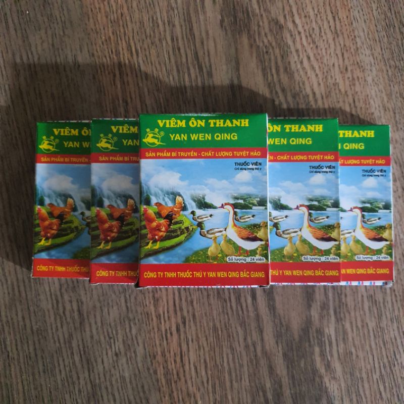VIÊM ÔN THANH VỈ 24 VIÊN  - T  RỊ TIÊU CHẢY, HÔ HẤP, SỐT CAO, LÔNG XÙ, CHÂN LẠNH, XÃ CÁNH,..