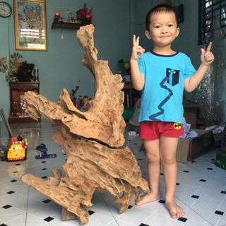 Gỗ lũa xá xị - ghép lan - chưng phong thuy lấy mùi thơm