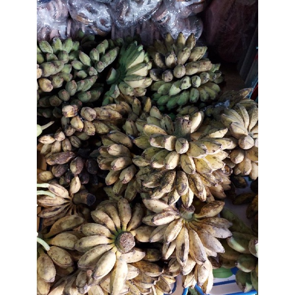 Trái chuối sáp tươi mua về nấu vườn Vĩnh Long trồng sẵn kho tp hcm