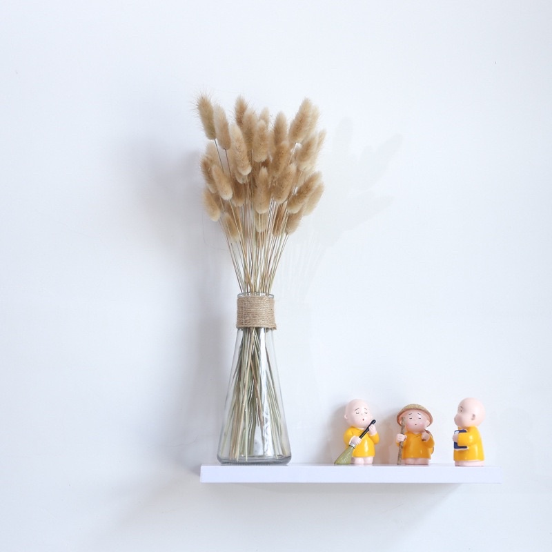 Cọ lá khô chụp sản phẩm