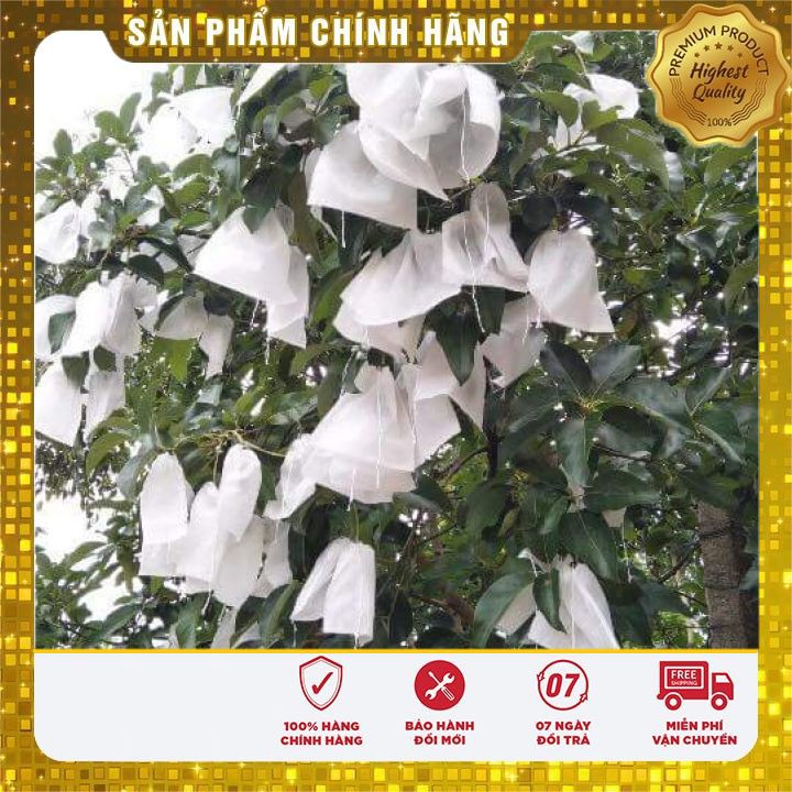 ⚡ cỡ lớn, Bưởi Da Xanh túi bao trái cây ,tránh ruồi vàng hiệu quả cao