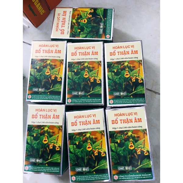 HOÀN LỤC VỊ BỔ THẬN ÂM