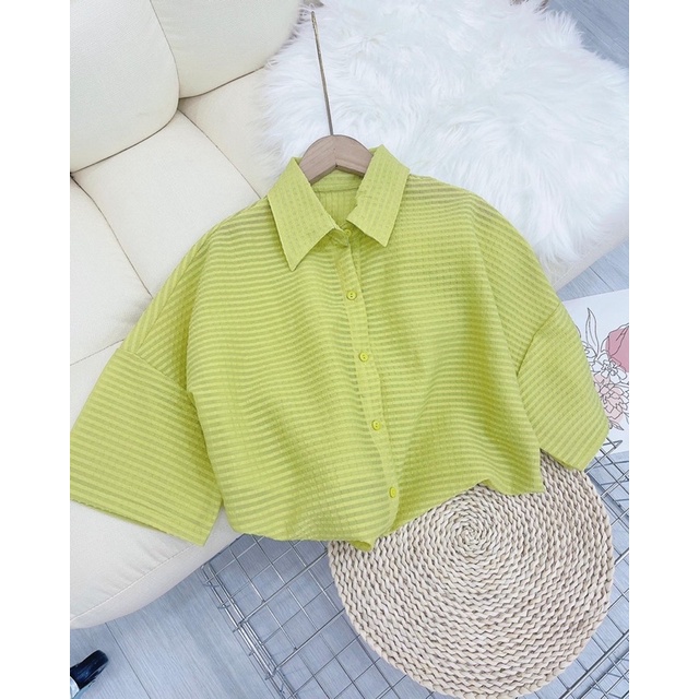 [ CHUBBY BIGSIZE ] SƠ MI Ô NỖI FORM RỘNG BIGSIZE