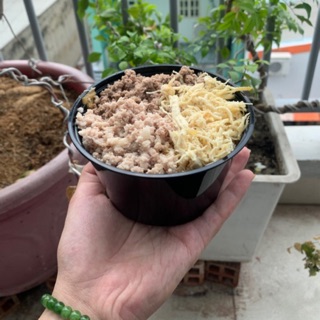 GRAB - NOW Pate tươi chó mèo Mix Vị