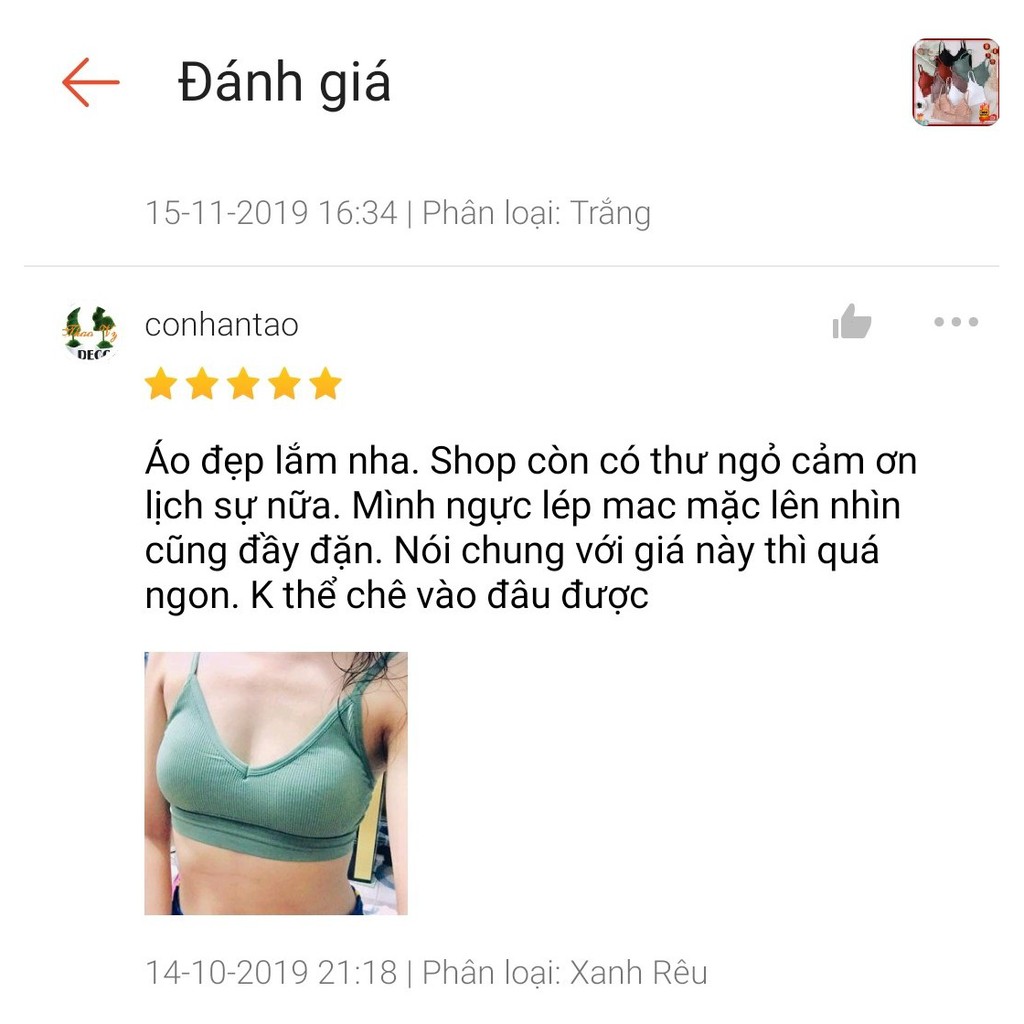 Áo bra hở lưng, áo ngực cotton gân tăm mềm mại, lót nữ không gọng, nâng ngực, co giãn 4 chiều, thấm hút mồ hôi _ Siberi