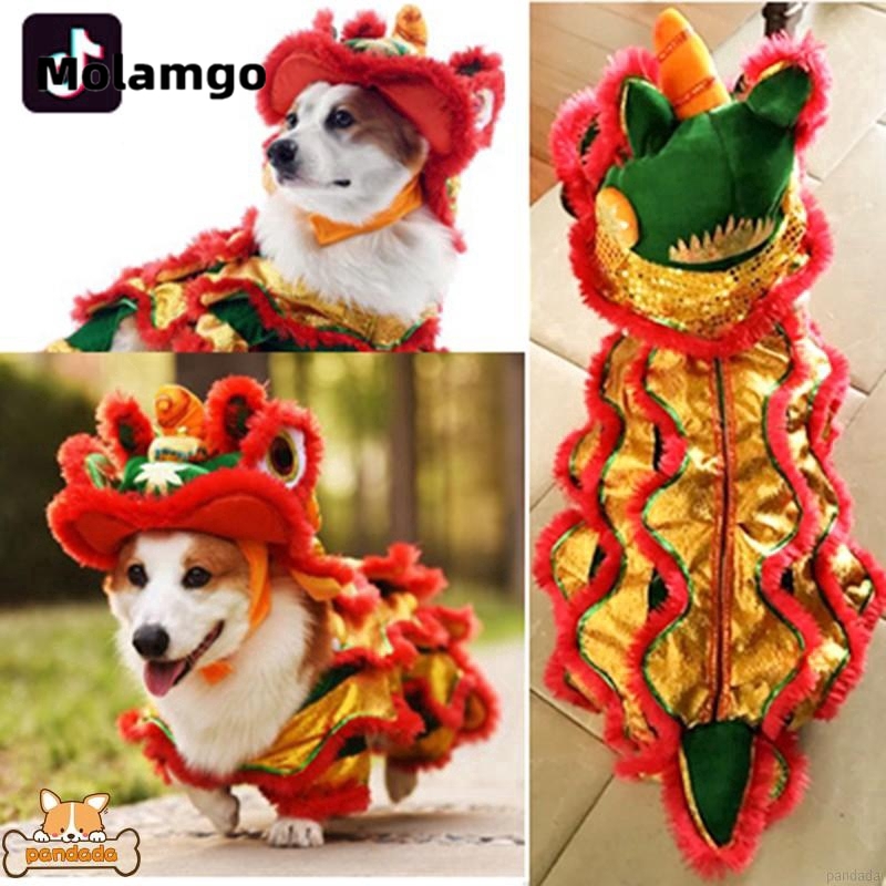 Trang phục biểu diễn MOLAMGO xinh xắn đáng yêu cho thú cưng
