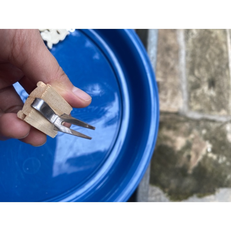 Ghim chuối các lọai dành cho lồng khuyên, chào mào