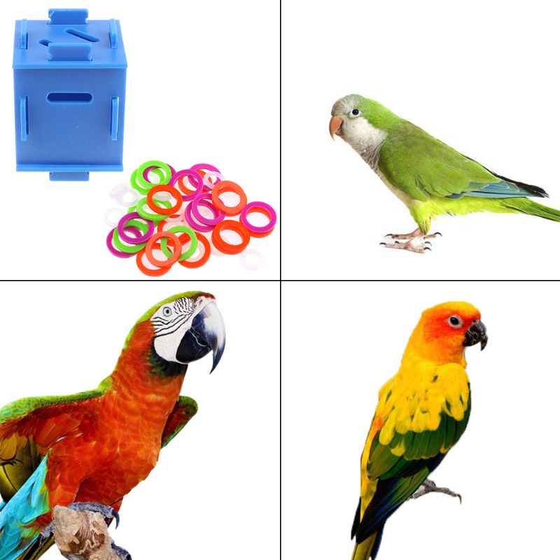 Hộp Đựng Tiền Xu Nhiều Màu Sắc Đồ Chơi Rèn Luyện Trí Thông Minh Cho Vẹt