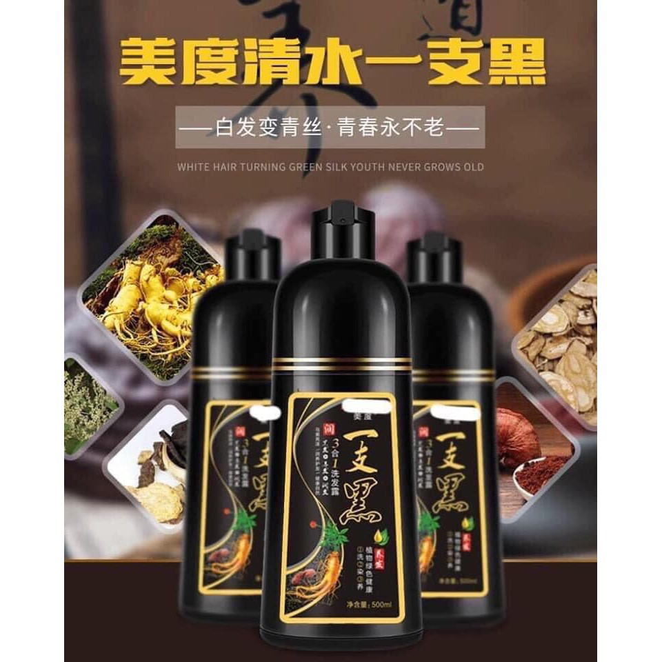 [Thiên nhiên không hóa chất]Dầu Gội Thảo Dược Phủ Bạc | BigBuy360 - bigbuy360.vn