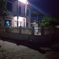 Bộ 5 chip led 220v 50w vàng