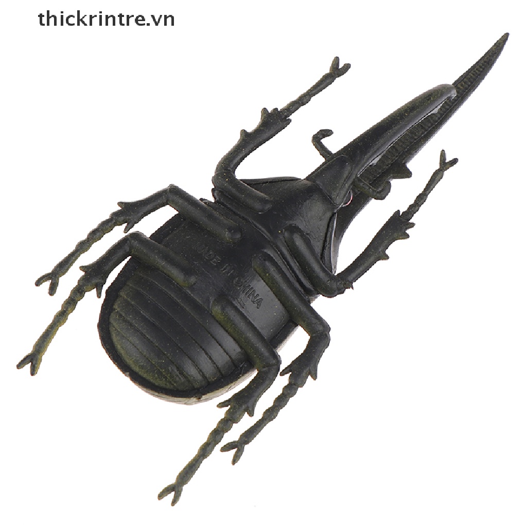 Đồ chơi mô hình bọ cánh cứng sáng tạo dùng dạy học cho bé