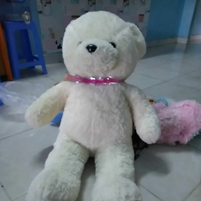 Gấu của Trần Giang 2