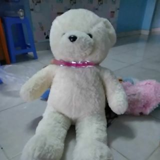 Gấu của trần giang 2
