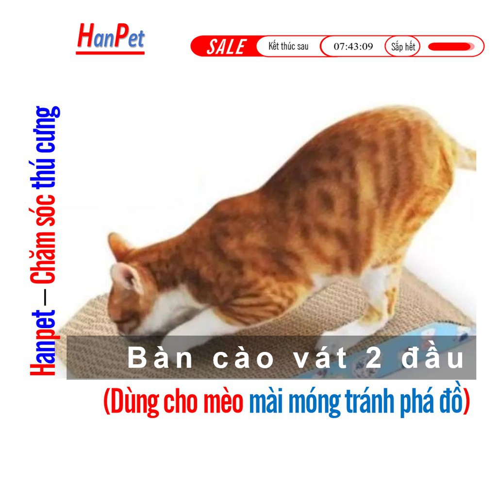 Hanpet.GV- Bàn Cào móng cho mèo kiêm mài móng tránh mèo cào ghế sô pha (nhiều loại)