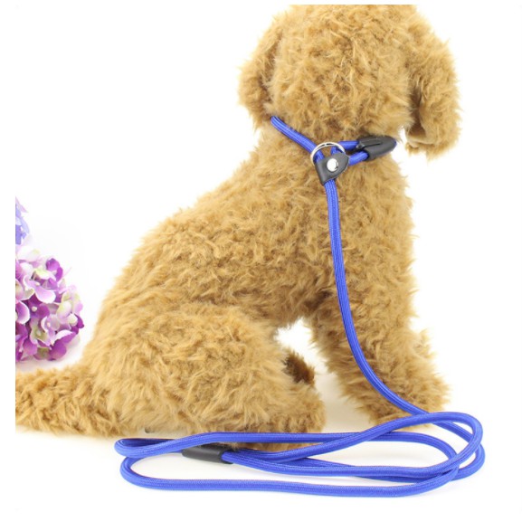 Dây dắt thú cưng đi dạo chất liệu nylon cotton