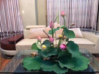Bát sen thả hoa đủ size kèm chân đế