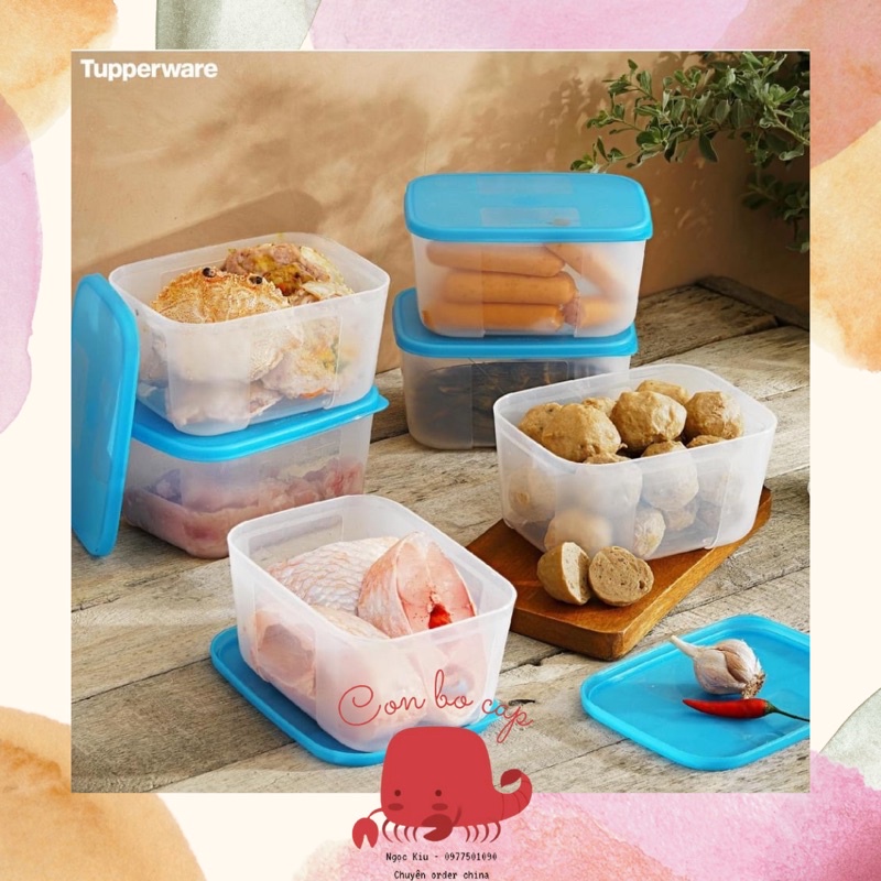 Bộ 4 Hộp Nhựa 700ml Ngăn Đông Tupperware - Trữ Thực Phẩm Thịt Cá Tôm Rau Củ - Đựng Đồ Ăn Dặm Cho Bé