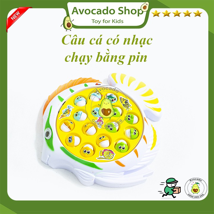 Bộ đồ chơi hộp câu cá có nhạc chạy bằng Pin cho bé