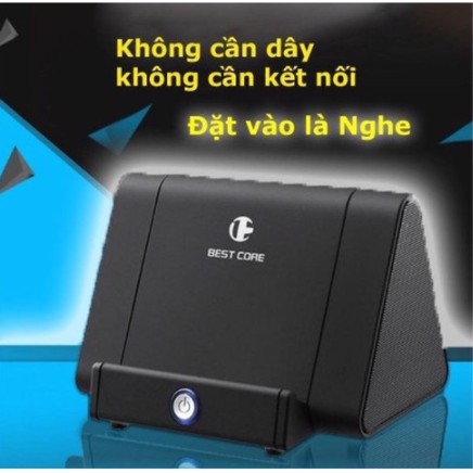 Loa cộng hưởng BEST CORE SY-317A GIÁ RẺ ( màu đen)