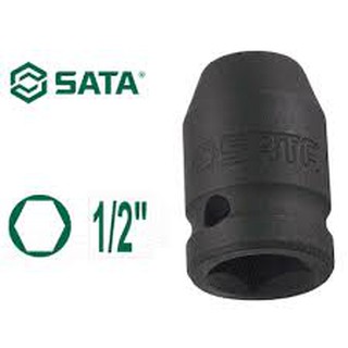 ĐẦU TUÝP ĐEN SATA 34303