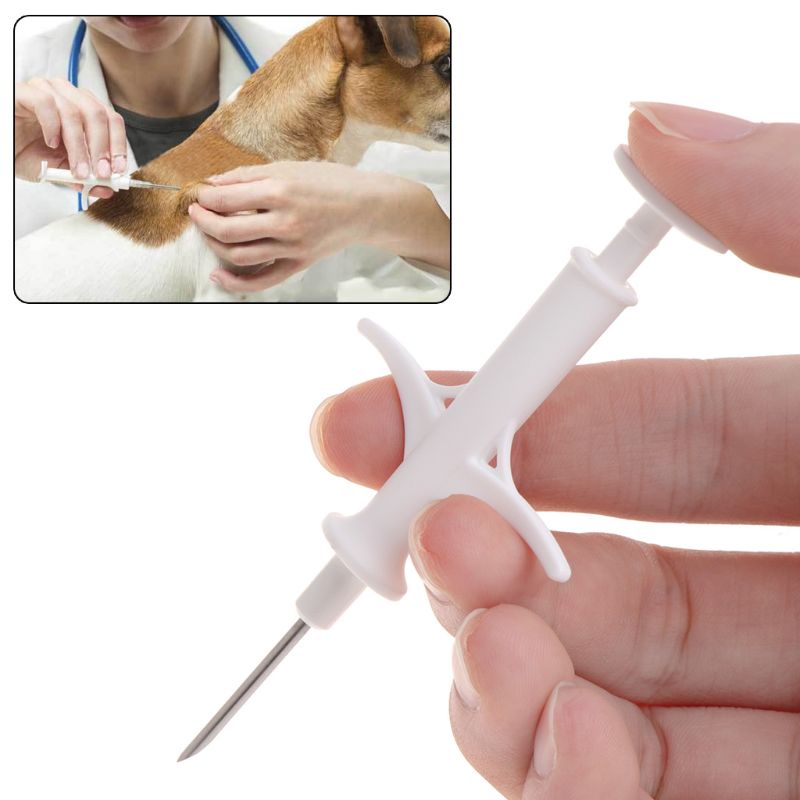 Microchips Cho Thú Cưng Uống Thuốc Có Thể Tái Sử Dụng
