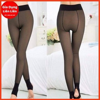Quần tất 3d 6s lót lông dẫm gót