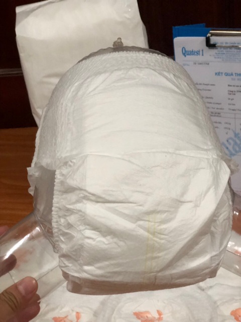 100 cái bỉm quần Ebony size M L xl Xxl xxxl