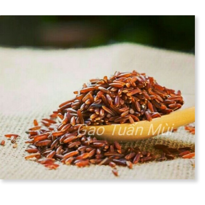 Gạo Lứt Đỏ ( Huyết Rồng) - hạt dài đỏ giàu dinh dưỡng tốt cho sức khỏe - túi PE 1kg [Vinet Shop 9x]