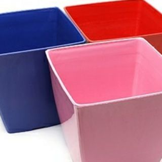 chậu vuông trồng cây 20cm