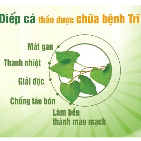 Bột diếp cá sấy lạnh nguyên chất 100% - giảm mụn, tiêu viêm, mát da, sáng mịn, hỗ trợ trĩ | Bột Natural