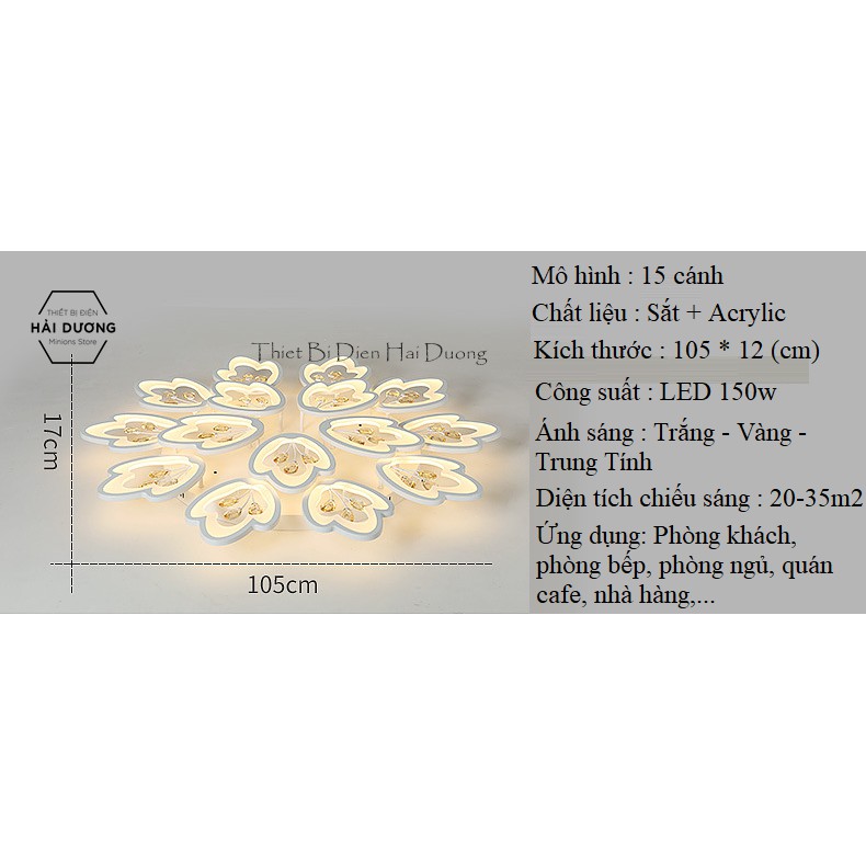 Đèn LED Ốp Trần Hình Hoa 15 Cánh NT024 - 3 Chế Độ Ánh Sáng - Tăng Giảm Ánh Sáng - Điều Khiển Từ Xa - Bảo Hành 1 Năm
