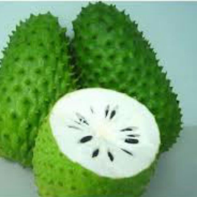 combo 2 Cây mãng cầu xiêm