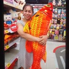 Gối ôm 3d hình cá chép, cá Koi 3d, gối ôm 3d hình con cá