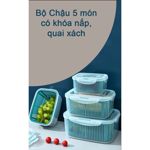 Bộ 5 Hộp Đựng Thực Phẩm Giỏ Có Nắp Đậy Khay Nhựa Kèm Rổ Ráo Nước Để Tủ Lạnh Bảo Quản Thức Ăn Tiện Lợi