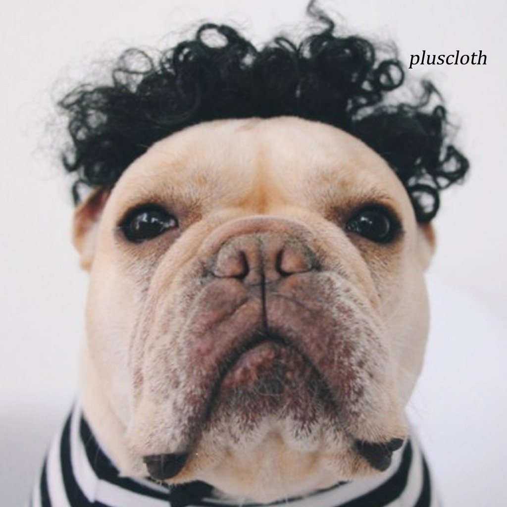 Tóc Giả Hóa Trang Cho Thú Cưng