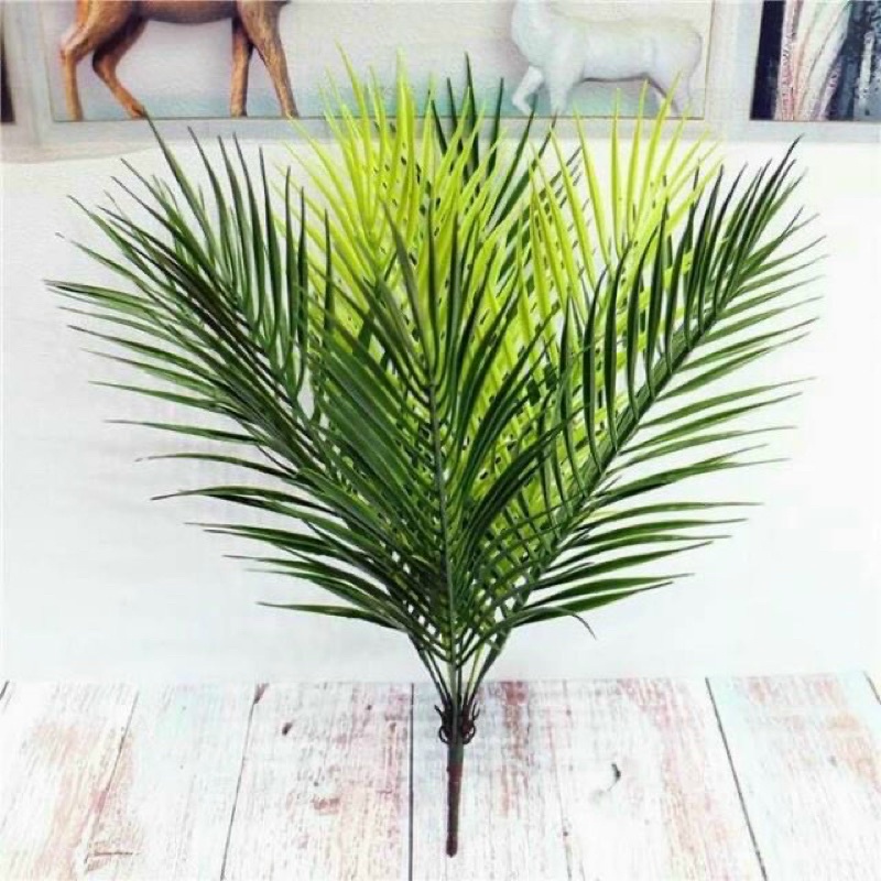Cây dừa giả-Bụi cây dừa cao 50CM