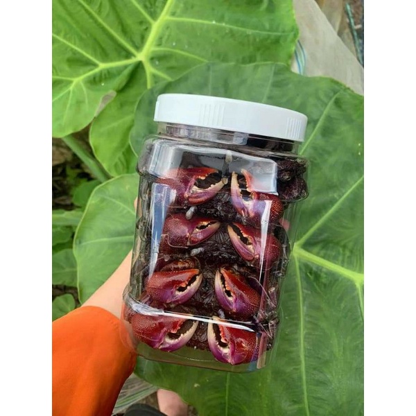 ❤️FREESHIP❤️KHÔNG CÂN NƯỚC -  1KG BA KHÍA MUỐI CON LỚN - mắm ba khía - ba khía Cà Mau