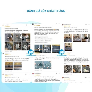 Ga chun bọc đệm cotton 100%, ga giường cotton cao cấp dày mát đủ size nệm lò xo Dreamhomebedding