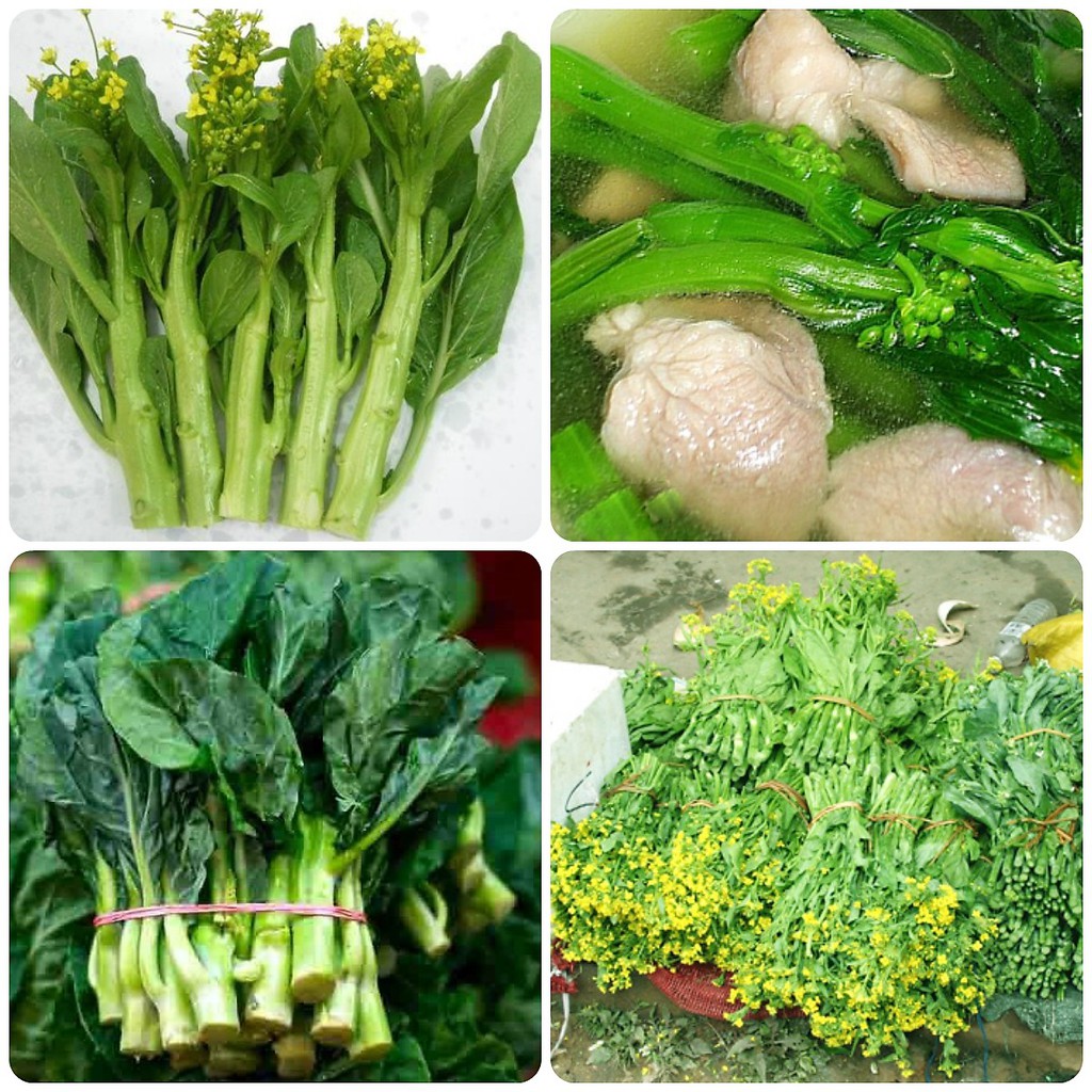 [Rẻ Vô Địch] Hạt Giống Cải Làn Hoa Vàng