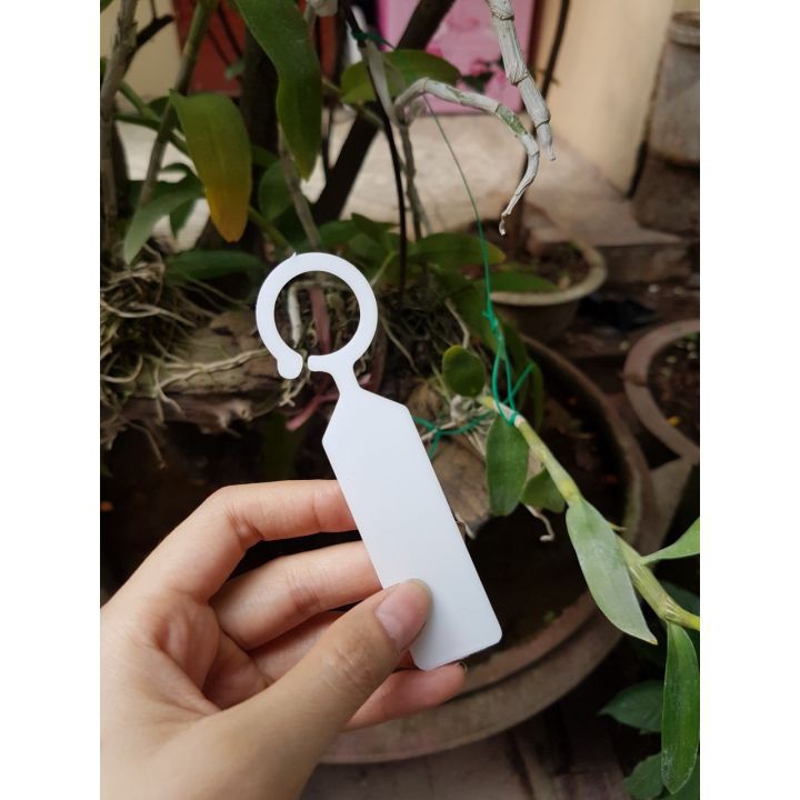100 thẻ ghi tên cho lan, cây cảnh kèm móc siêu tiện lợi