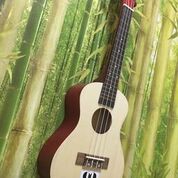 ĐÀN UKULELE CONCERT NHIỀU MÀU SẮC ĐA DẠNG - HÀNG CÓ SẴN