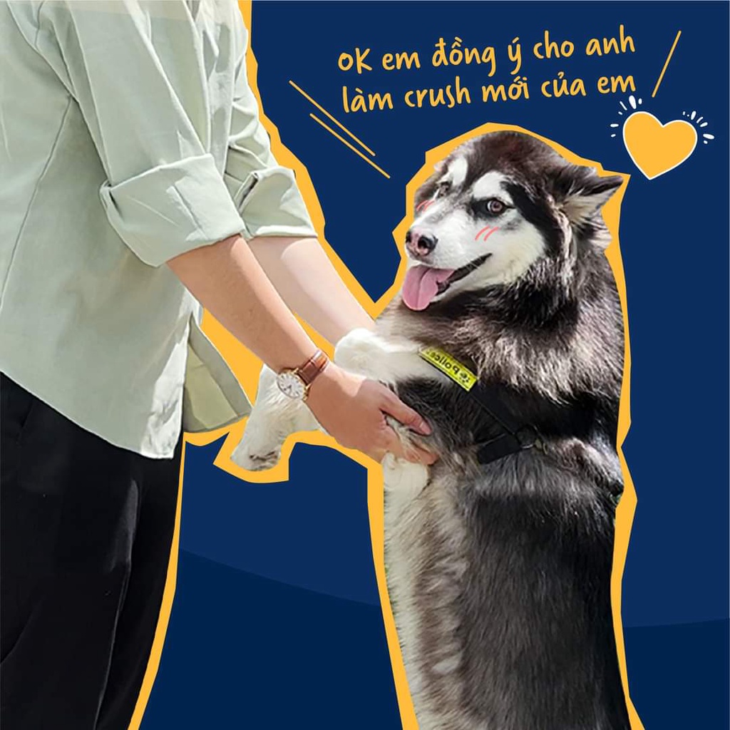 Thức ăn cho chó con Maxime Elite Puppy 400gr - Thức ăn khô cho chó con thơm ngon hấp dẫn