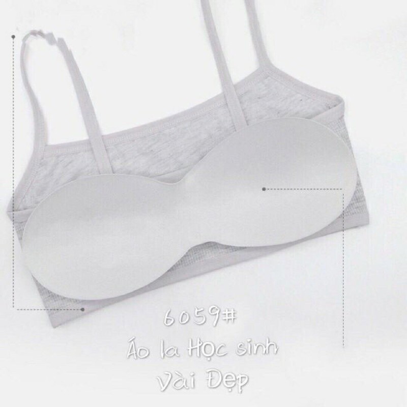 Áo bra học sinh, áo lá tem thỏ cotton tăm mềm đẹp 6059 | BigBuy360 - bigbuy360.vn