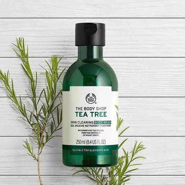 დ Sữa Tắm Tea Tree The Body Shop Giảm Mụn Lưng Hiệu Quả 250ml დ | BigBuy360 - bigbuy360.vn