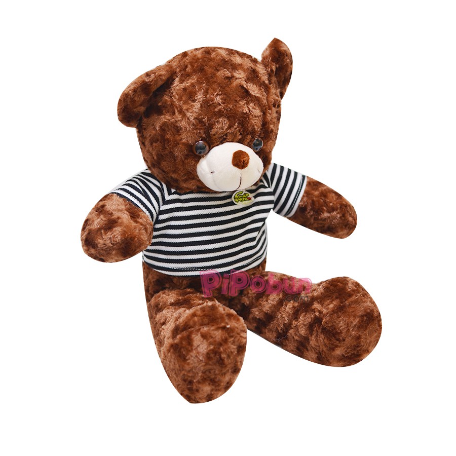 Gấu bông TEDDY Màu Nâu Pipobun size 50cm