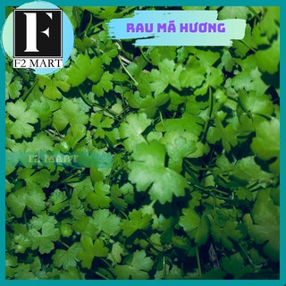 Rau Má Hương Thuỷ Sinh | Cây Thuỷ Sinh Dạng Bò Dễ Trồng, Dễ Phát Triển Cả Cạn Và Trong Hồ Thuỷ Sinh, Bể Cá Cảnh