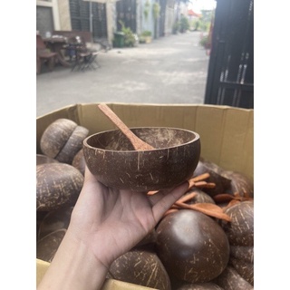 Combo Bát Trộn Gáo Dừa Handmade