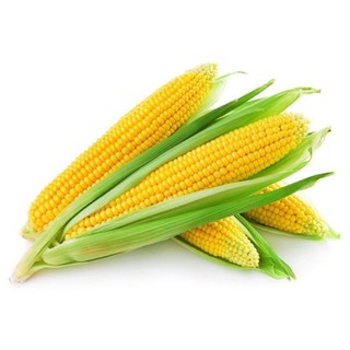 Hạt Giống Bắp Mỹ - 10gram