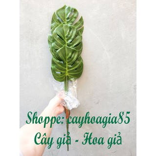 Cây giả _ Cây lá Rùa Cao Cấp