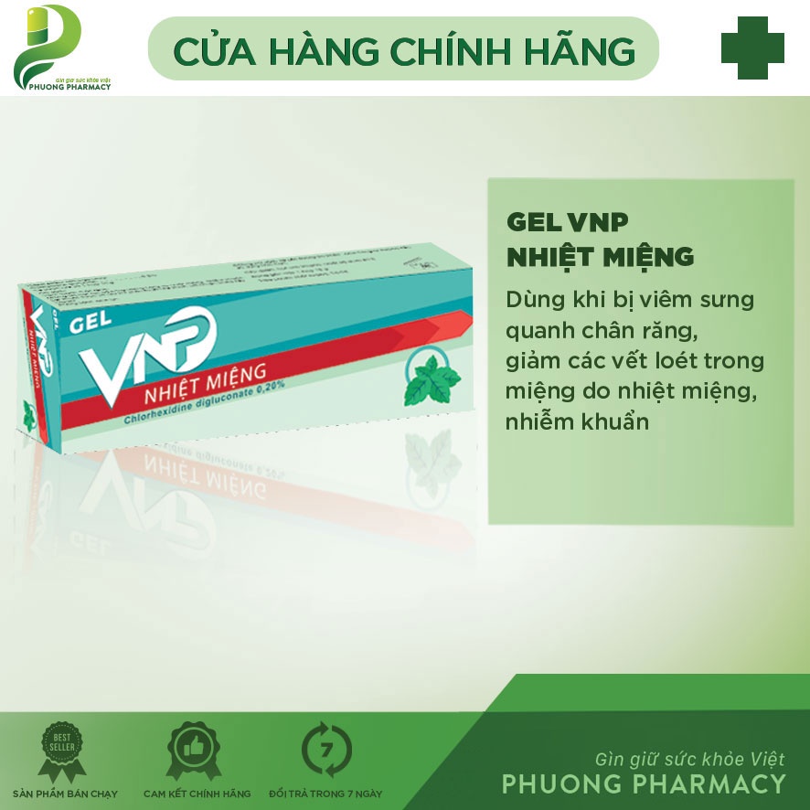 Gel Bôi Nhiệt Miệng VNP tuýp 10g